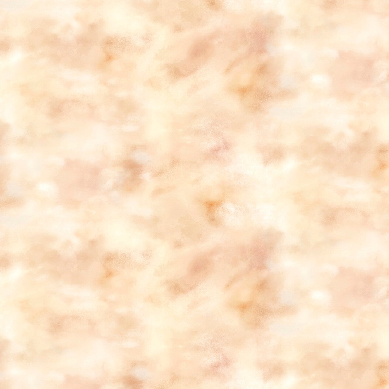 Fabric P & B Textiles Peach Cloudy Texture Let's Go On An Adventure by the Quarter Yard LGOA5940-NE